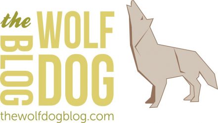 The Wolfdog Blog